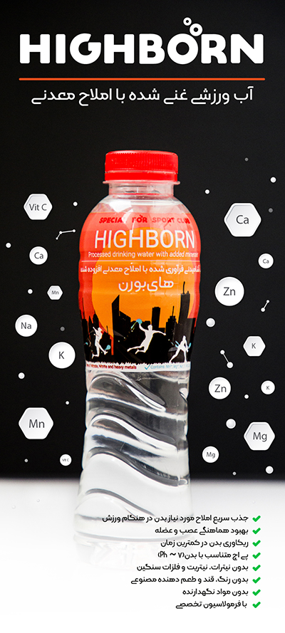 highborn poster5